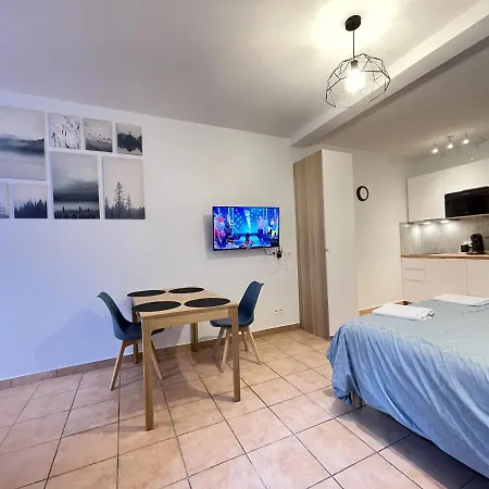Appart'village Vieux וישי